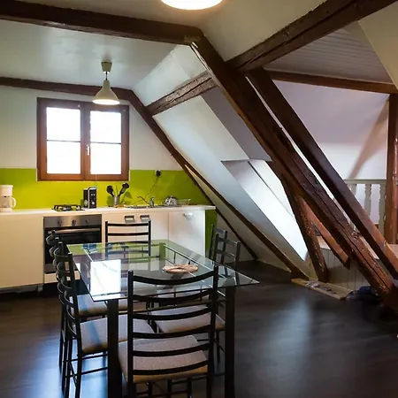 - Rénové Dans Ferme Alsacienne * Pfettisheim